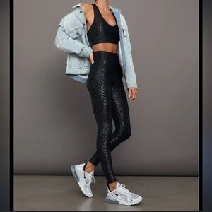 TAKARA LEOPARD ACTIVE SET - CARBON38